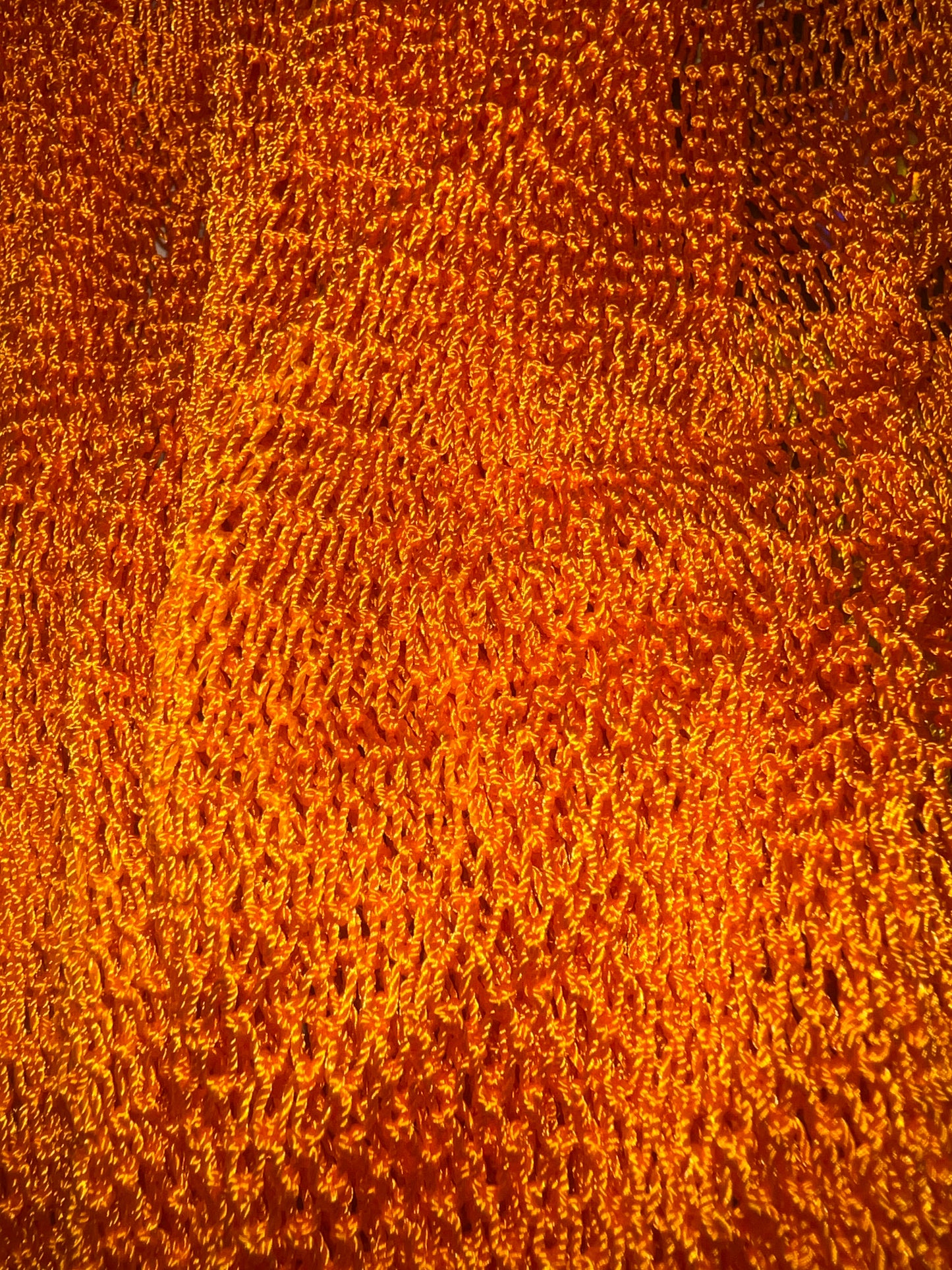 Sapo/African Net Sponge